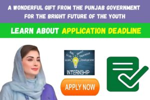 CM Punjab Internship Program 2025