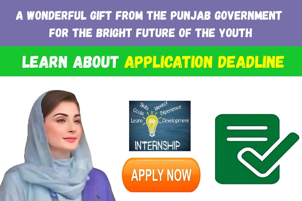 CM Punjab Internship Program 2025